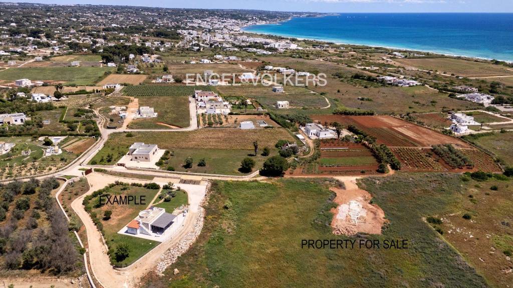 immagine annuncio 6 di 8