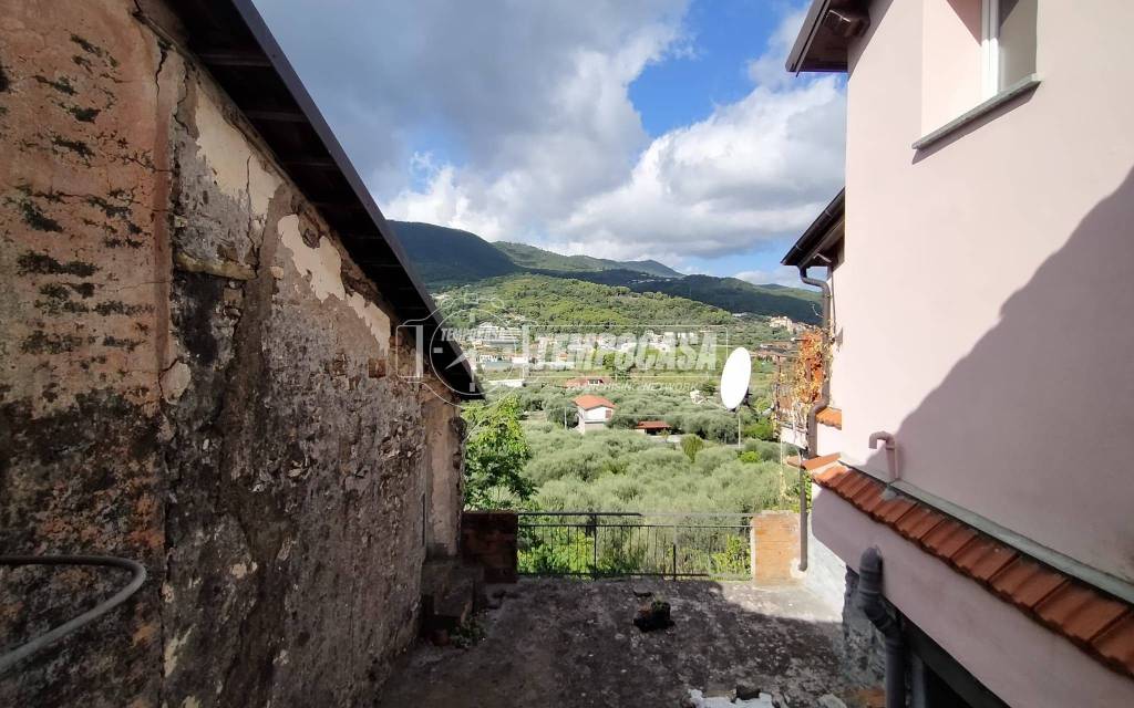 immagine annuncio 9 di 14