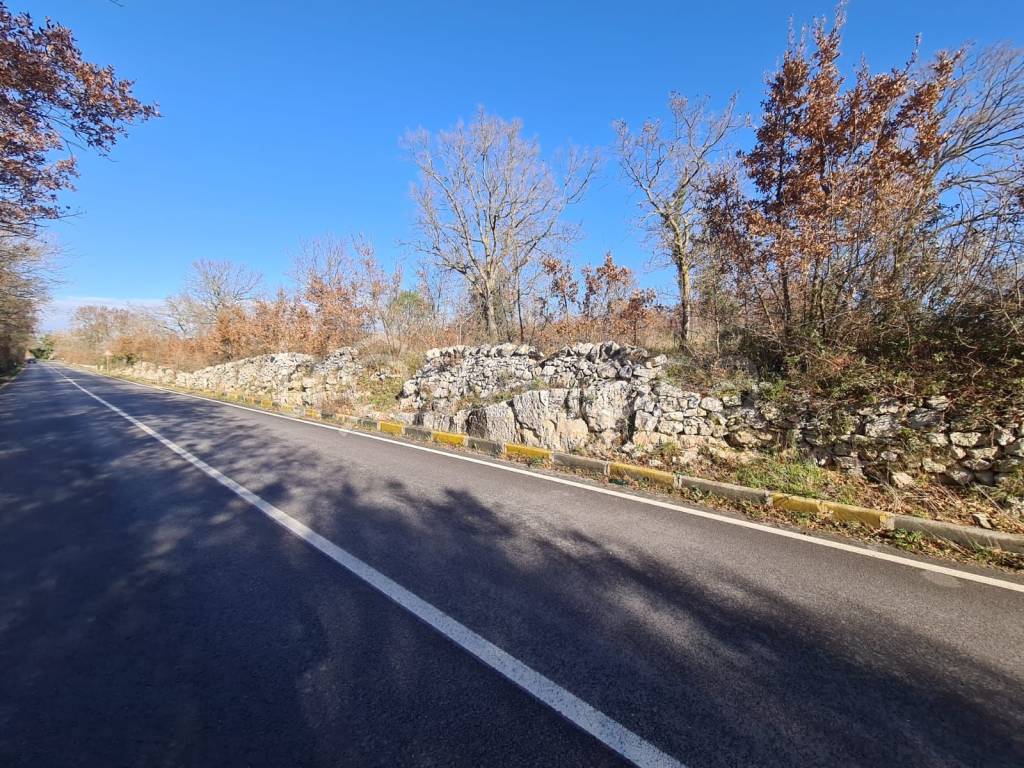 immagine annuncio 2 di 6