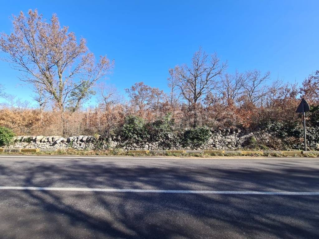 immagine annuncio 4 di 6