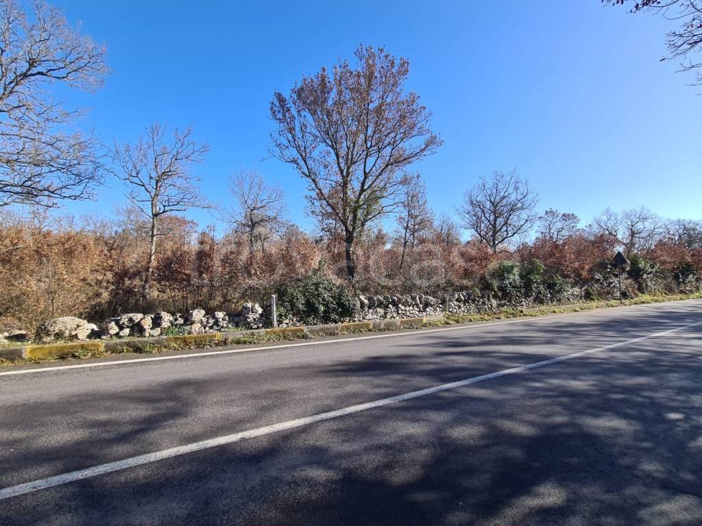 immagine annuncio 5 di 6