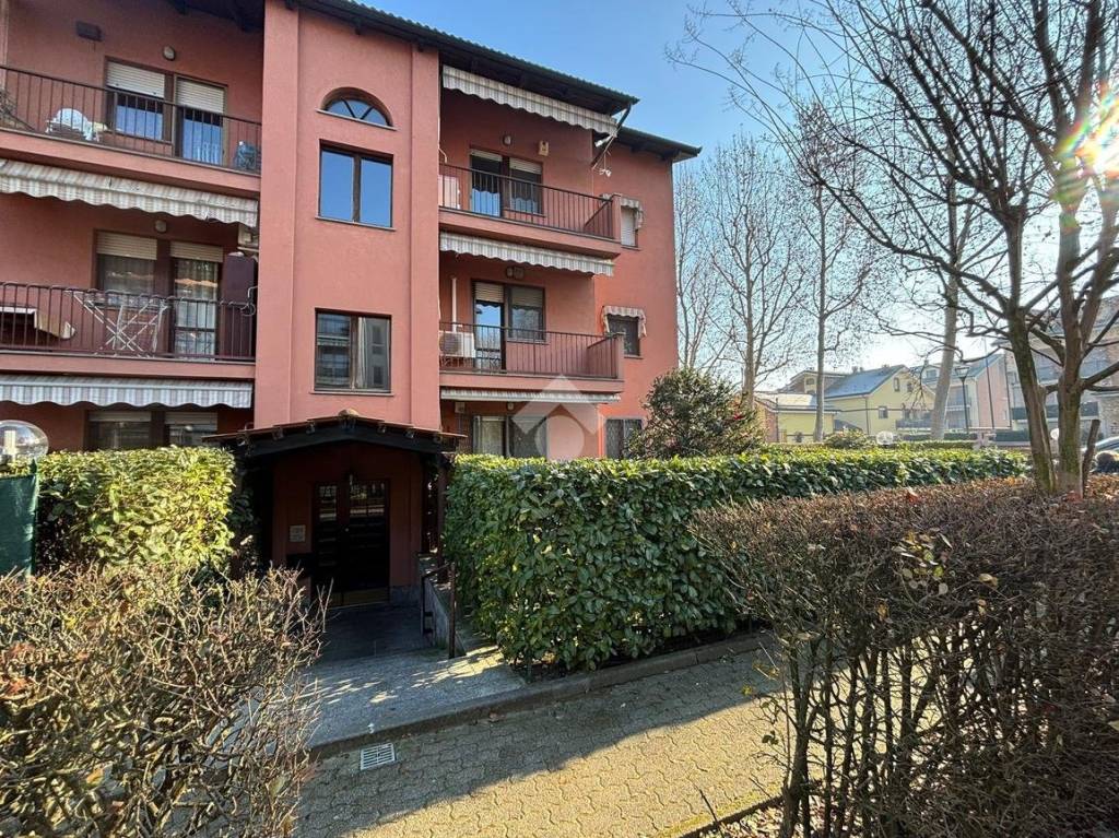 immagine annuncio 2 di 15