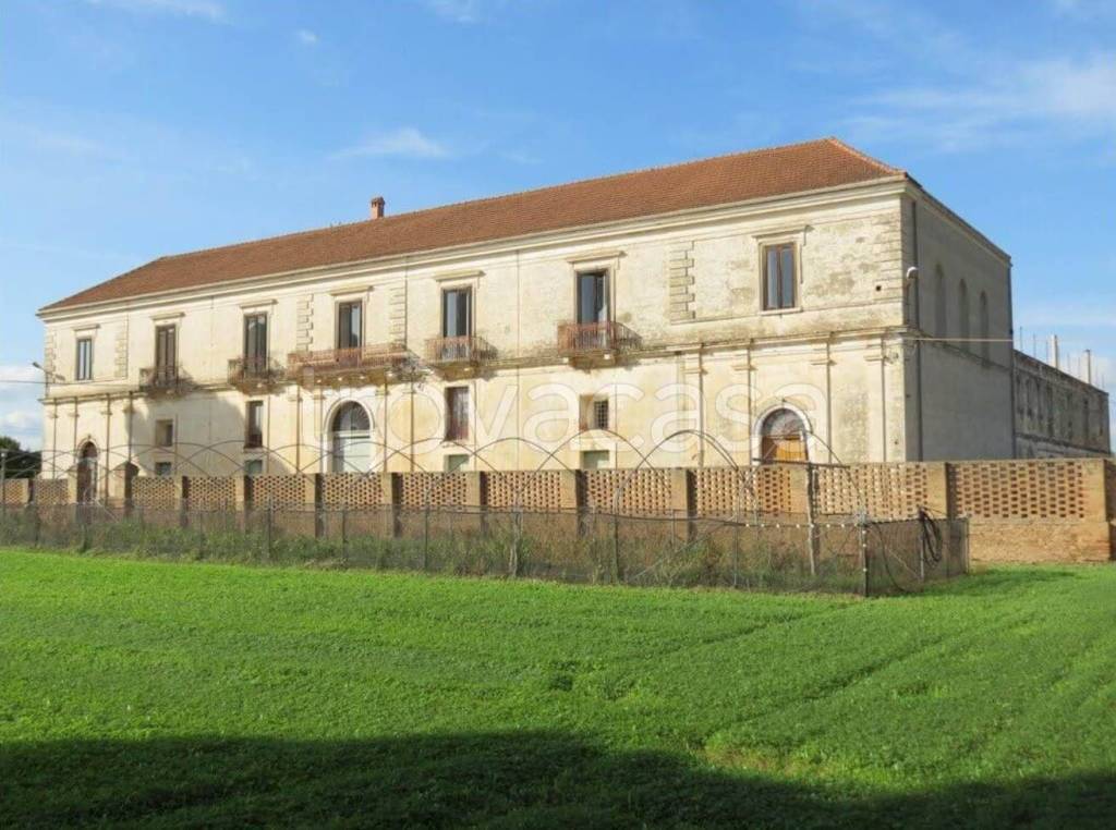 immagine annuncio 6 di 8