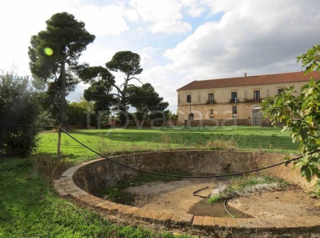 immagine annuncio 7 di 8