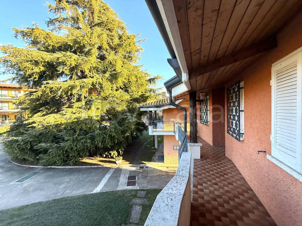 immagine annuncio 9 di 15