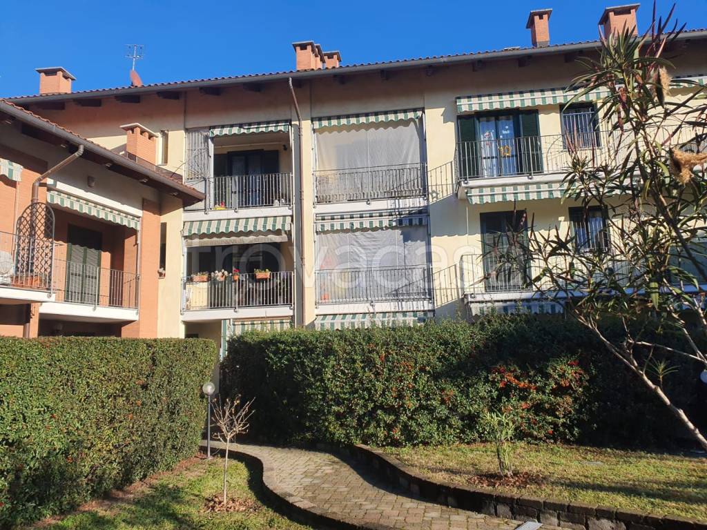 immagine annuncio 9 di 15