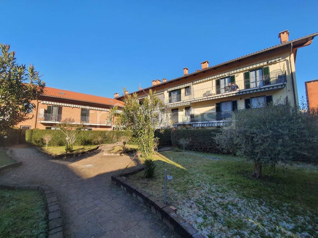 immagine annuncio 2 di 15