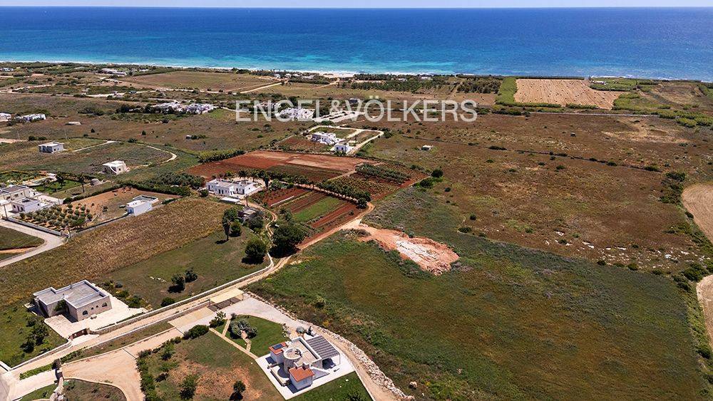 immagine annuncio 5 di 8