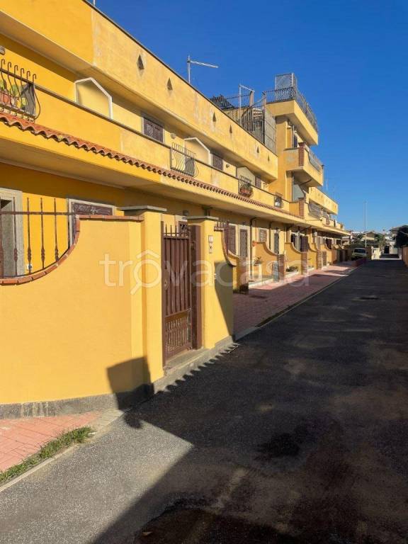 immagine annuncio 9 di 12