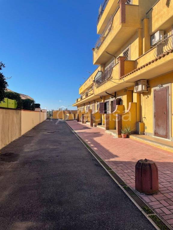 immagine annuncio 10 di 12