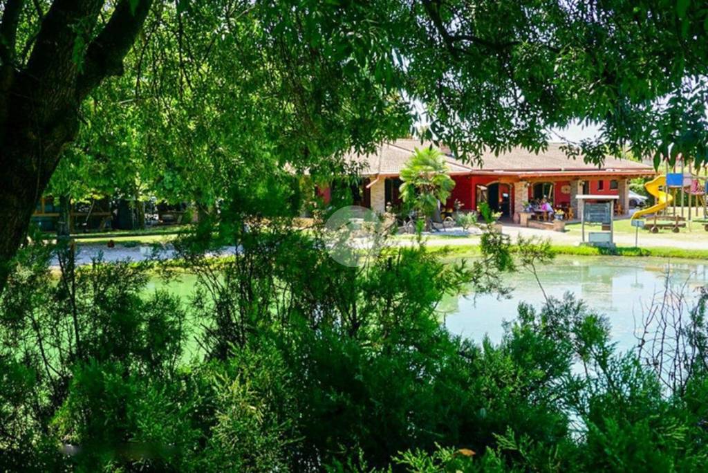 immagine annuncio 3 di 9