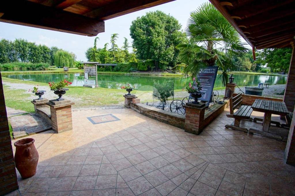 immagine annuncio 6 di 9