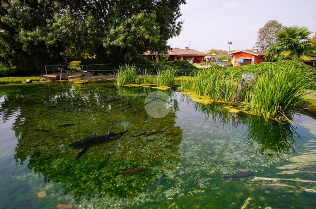 immagine annuncio 7 di 9