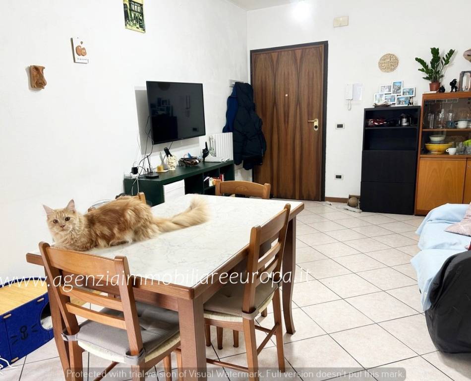 immagine annuncio 1 di 14