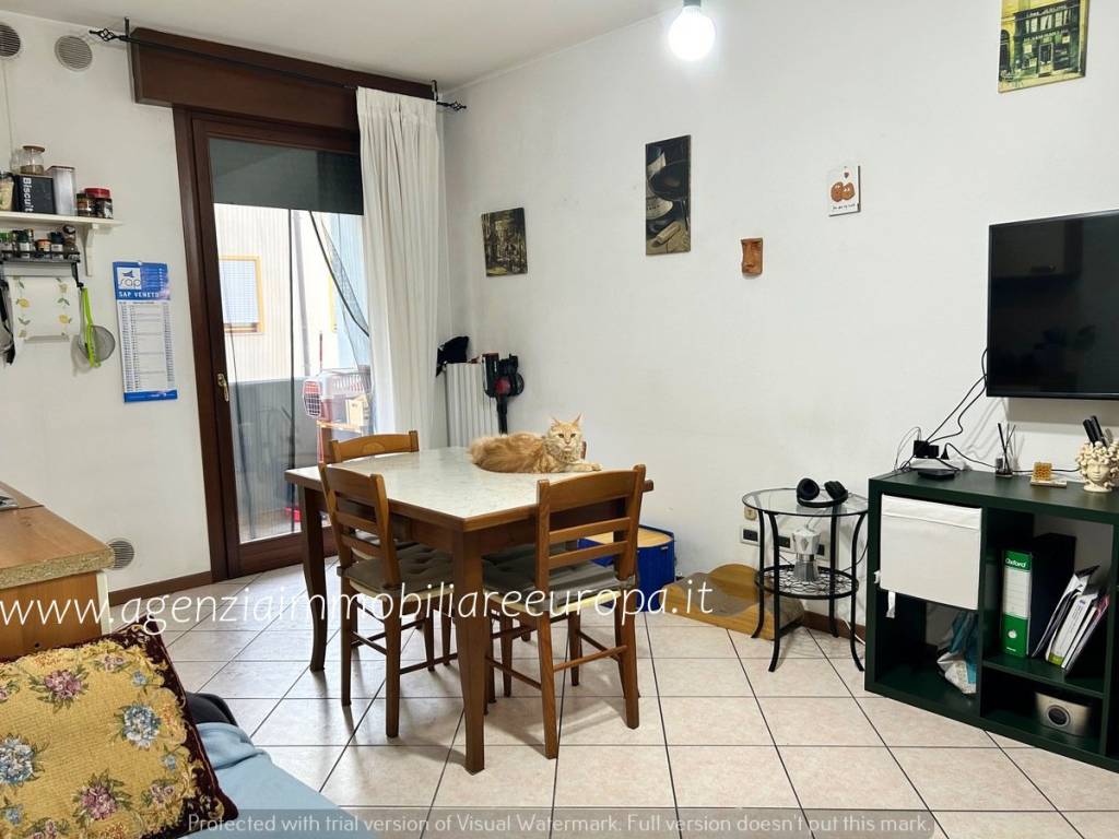 immagine annuncio 5 di 14