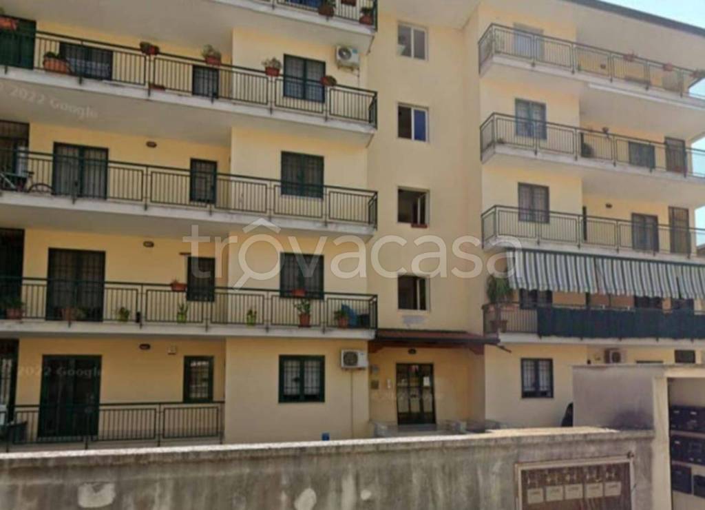 immagine annuncio 6 di 14