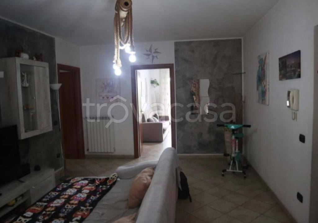 immagine annuncio 9 di 14