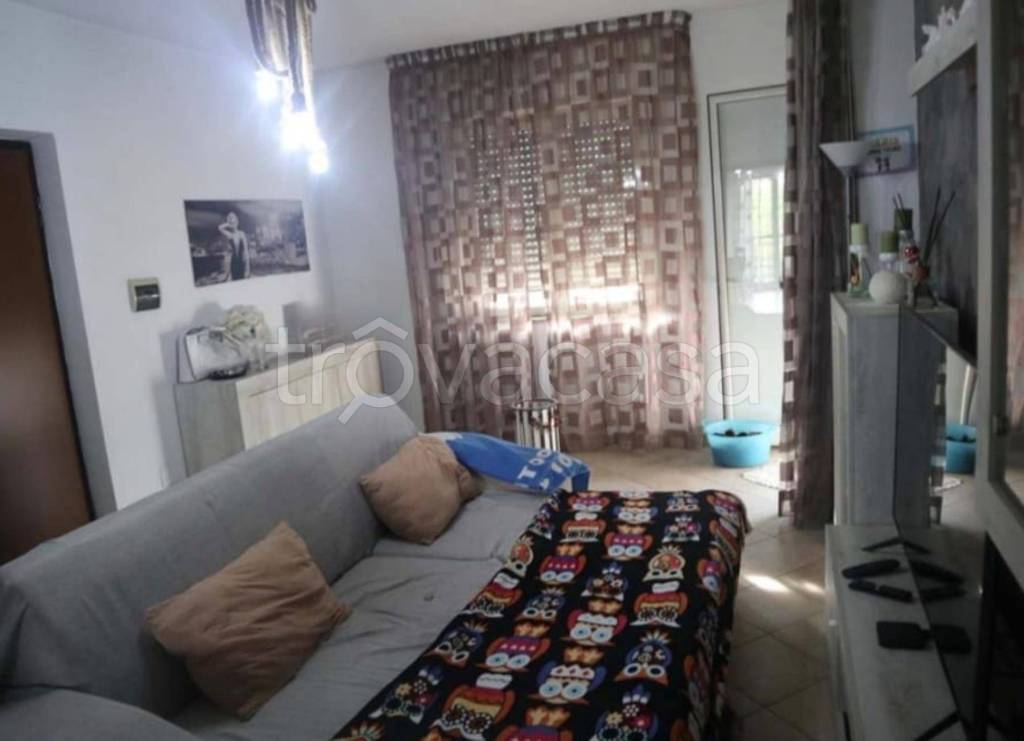 immagine annuncio 10 di 14