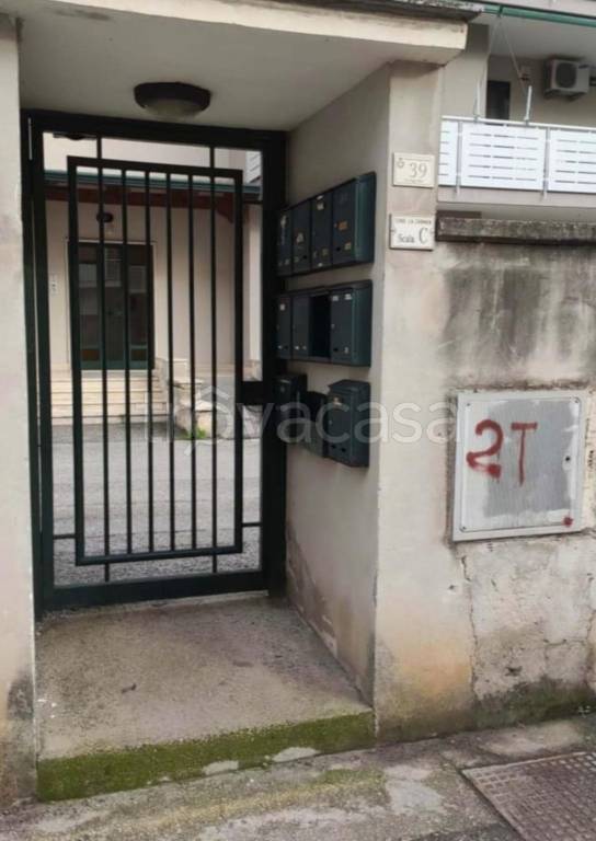 immagine annuncio 11 di 14