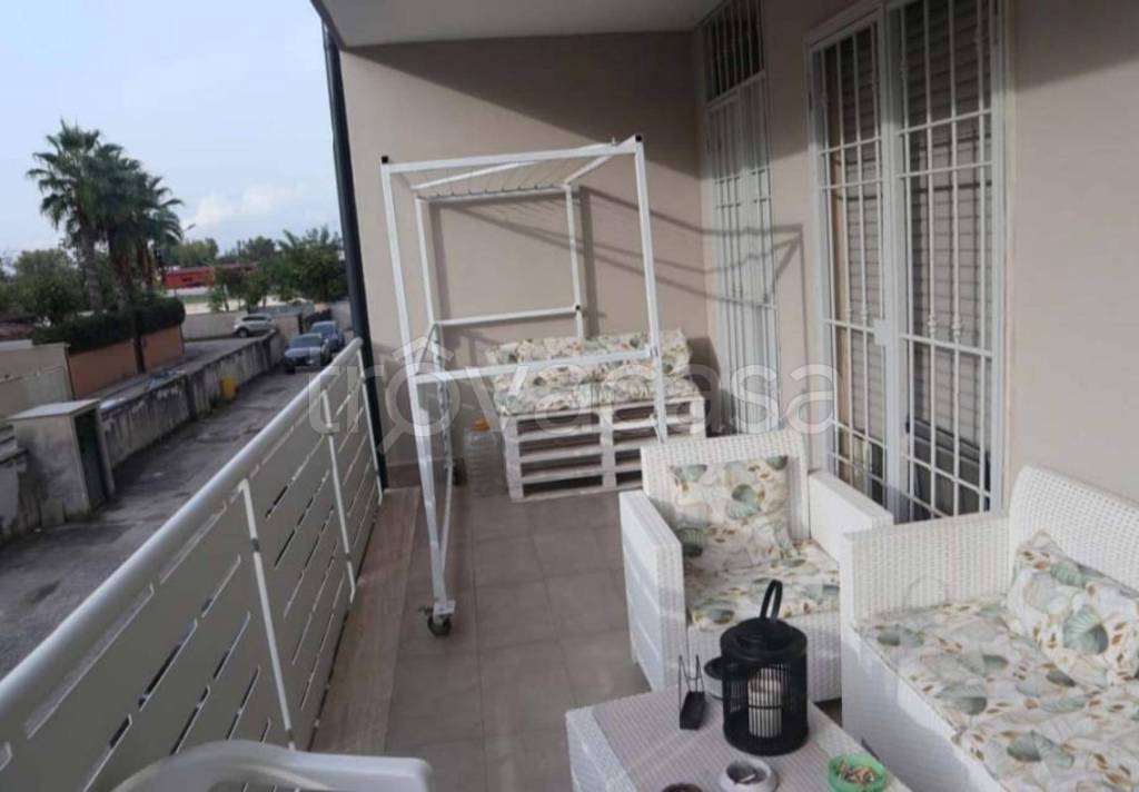 immagine annuncio 12 di 14