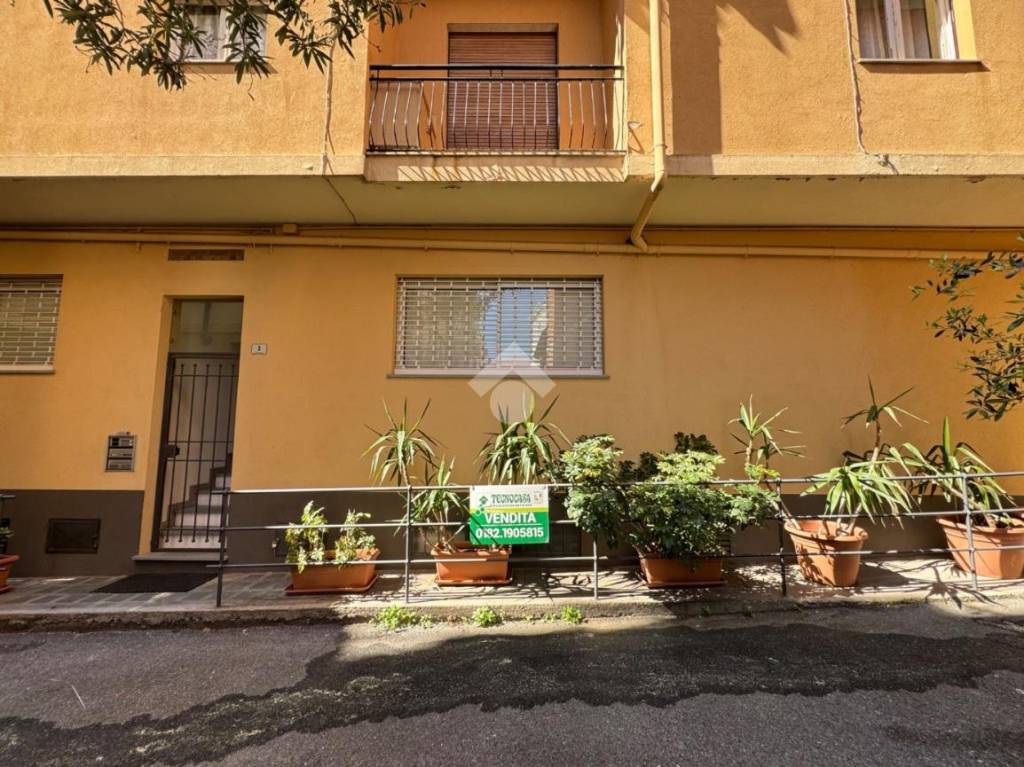 immagine annuncio 13 di 14