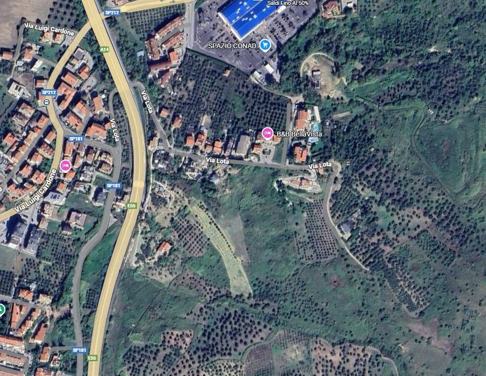 immagine annuncio 2 di 7