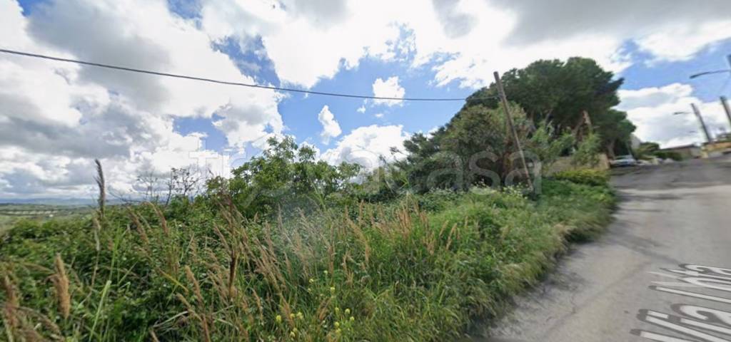 immagine annuncio 4 di 7