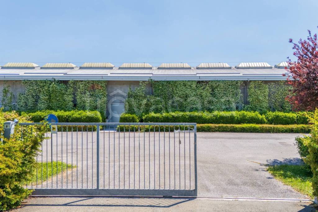 immagine annuncio 5 di 15