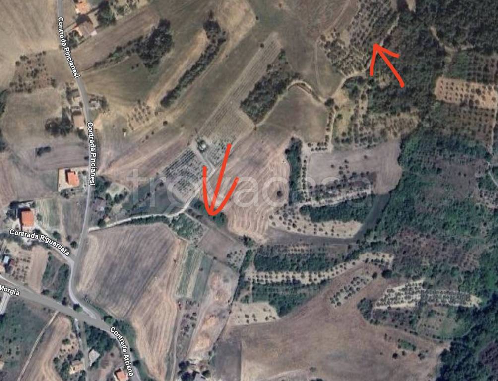 immagine annuncio 4 di 7