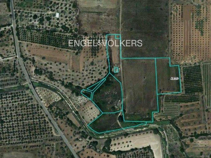 immagine annuncio 3 di 11