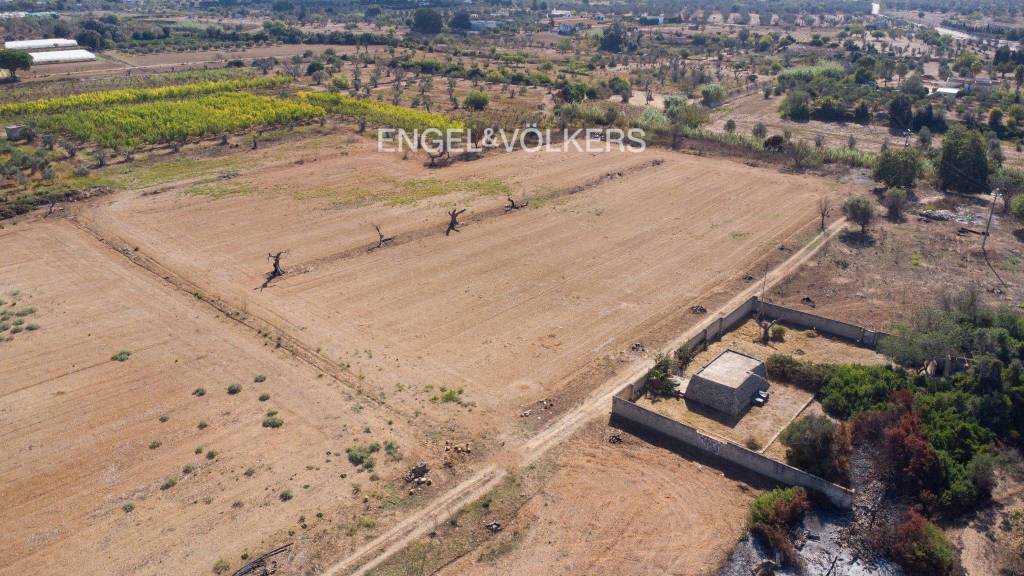 immagine annuncio 9 di 11