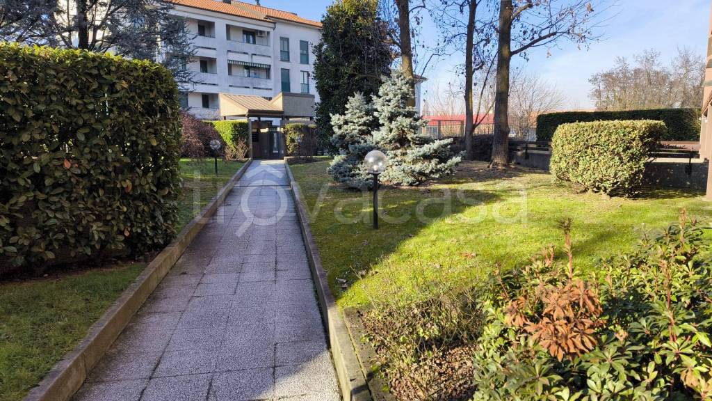 immagine annuncio 2 di 7