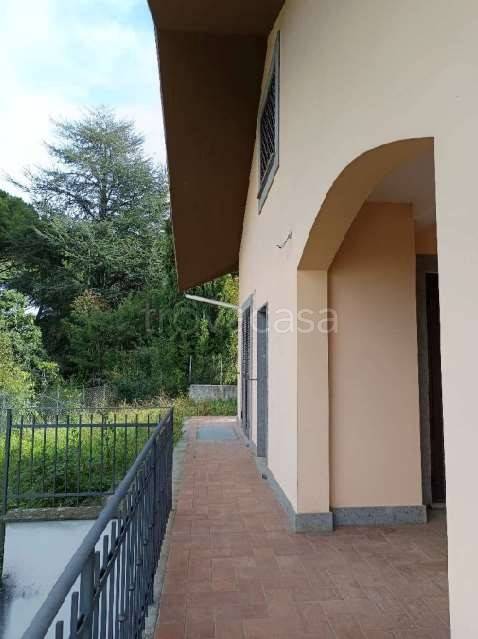 immagine annuncio 2 di 7