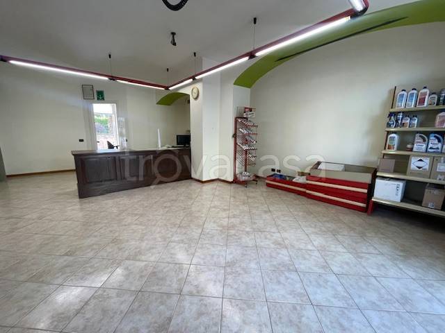 immagine annuncio 1 di 8