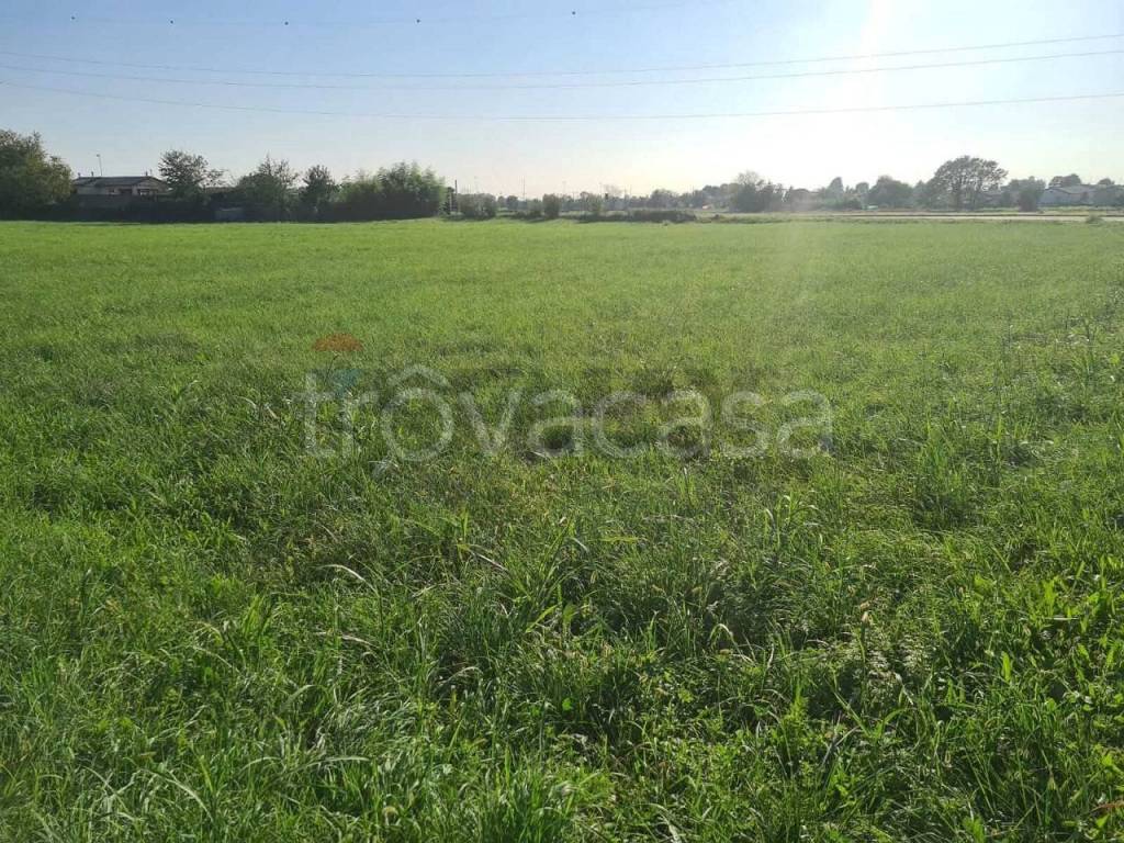 immagine annuncio 5 di 6