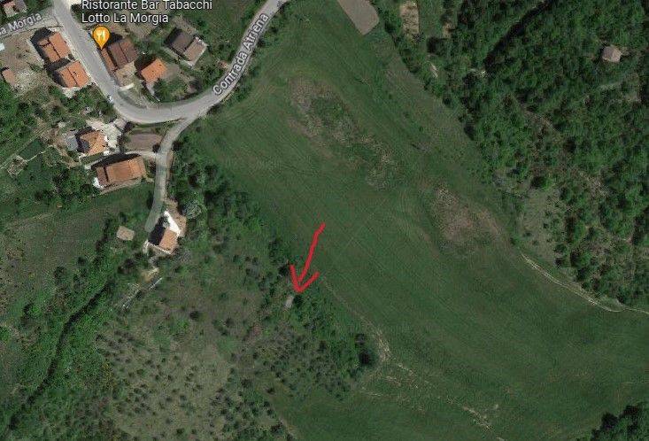 immagine annuncio 2 di 7