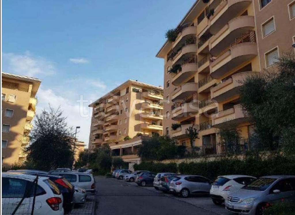 immagine annuncio 3 di 12