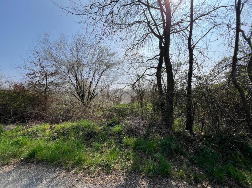 immagine annuncio 4 di 9