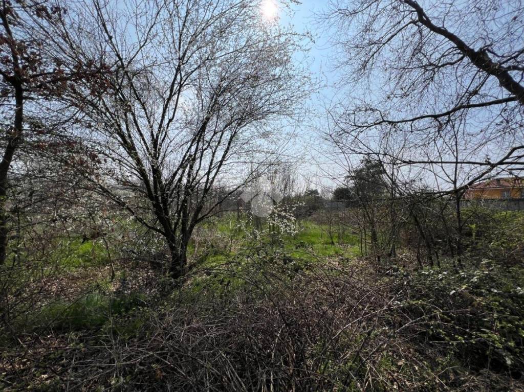 immagine annuncio 7 di 9