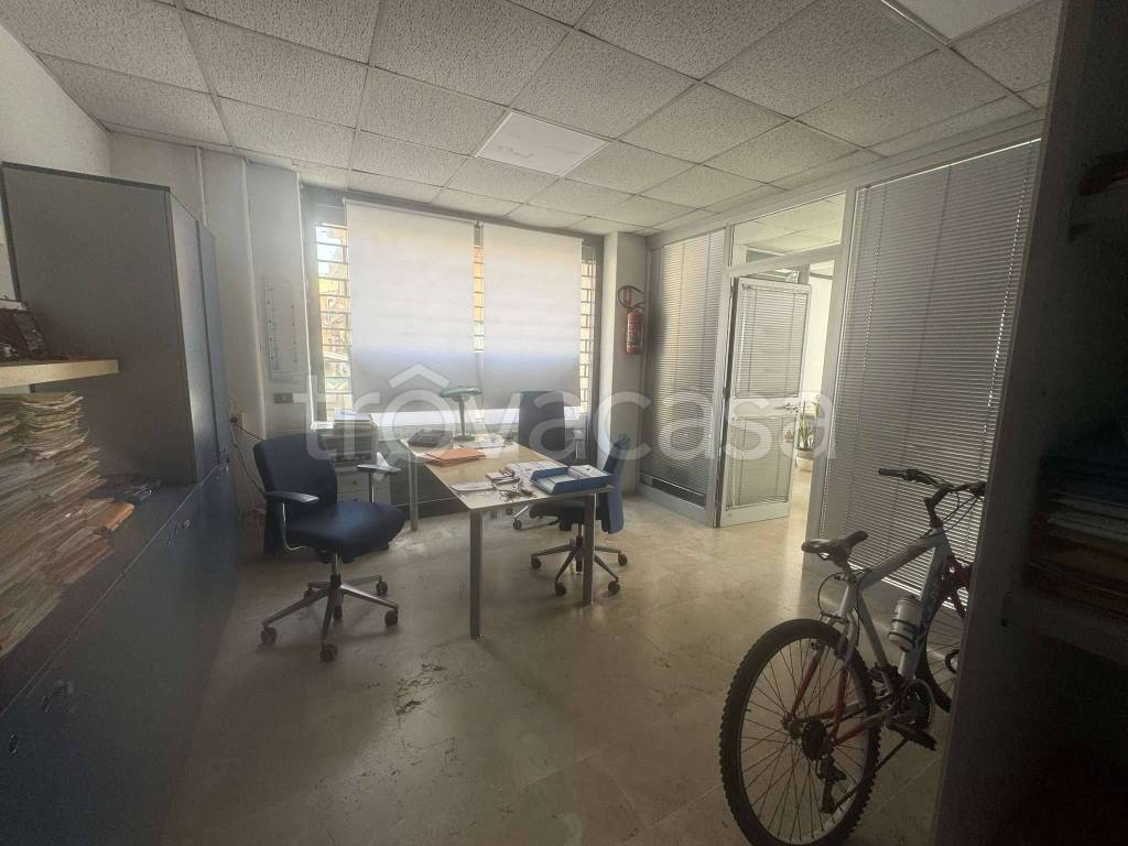 immagine annuncio 11 di 14