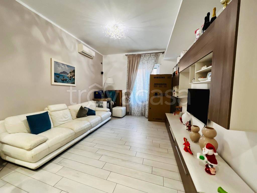 immagine annuncio 7 di 14