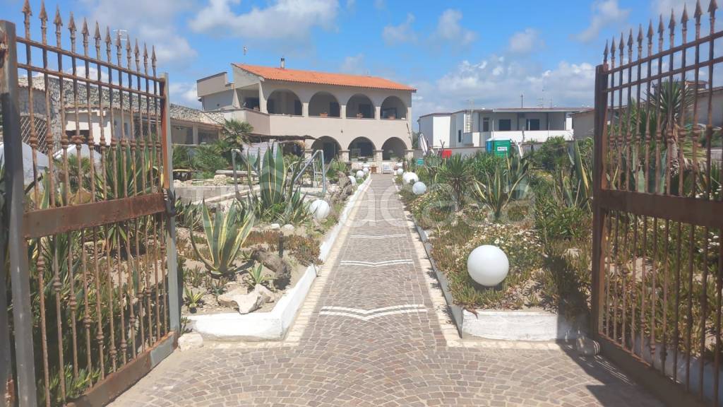 immagine annuncio 11 di 12