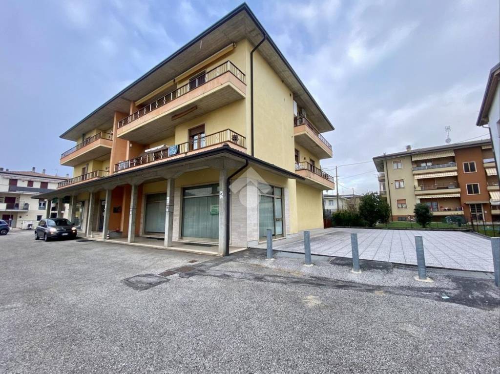 immagine annuncio 1 di 14