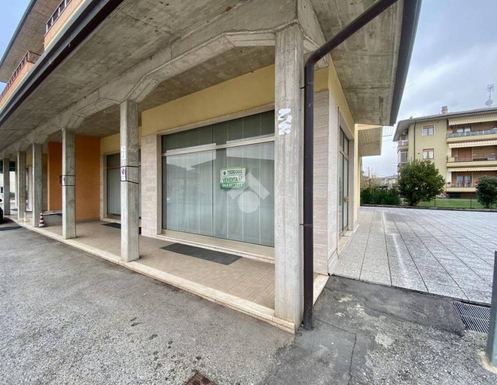 immagine annuncio 3 di 14