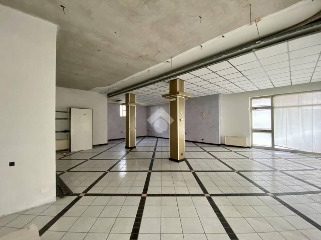 immagine annuncio 6 di 14