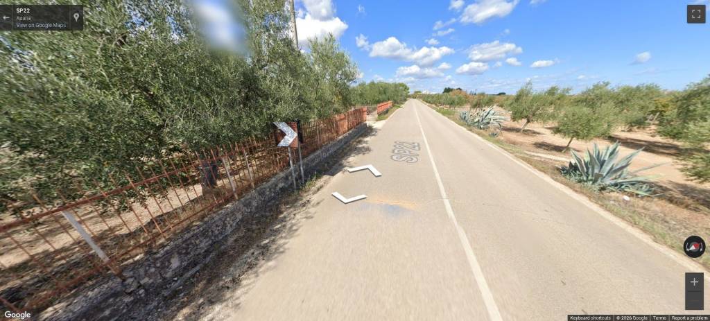 immagine annuncio 9 di 11