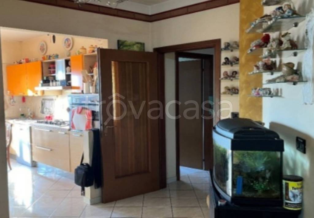 immagine annuncio 5 di 12