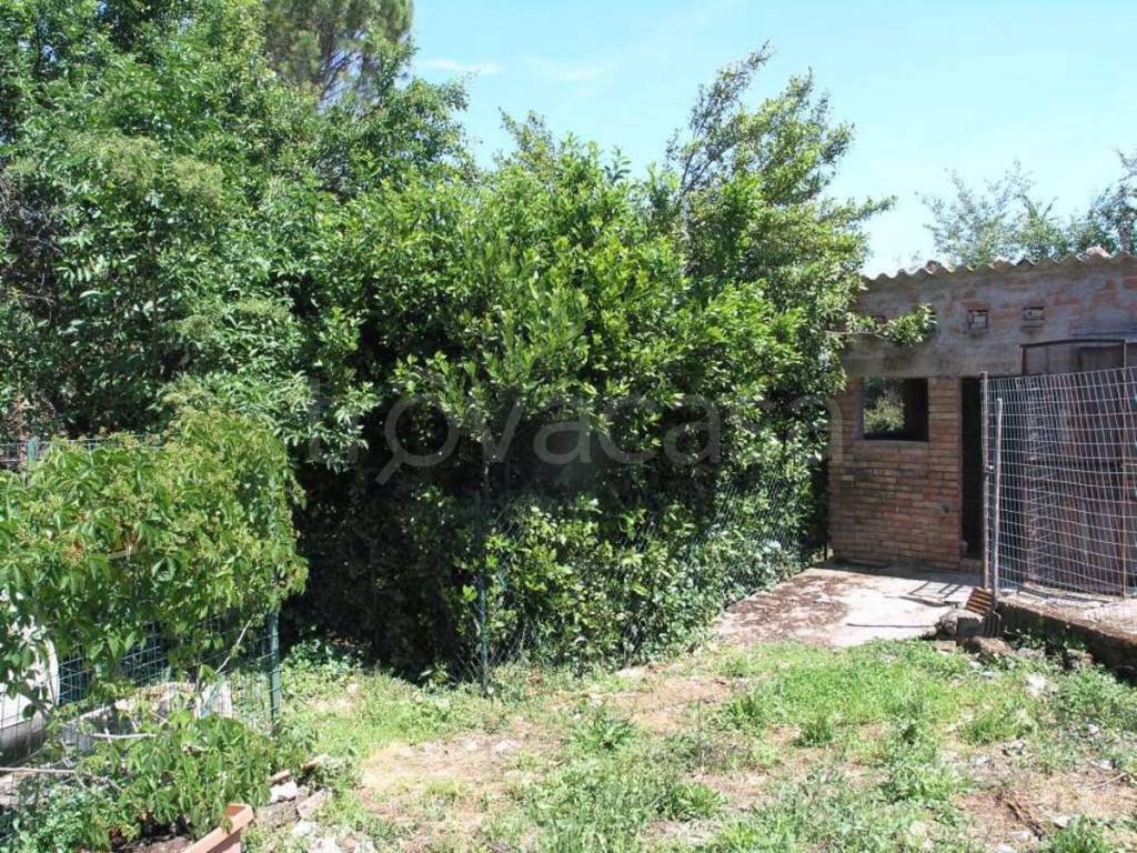 immagine annuncio 11 di 13