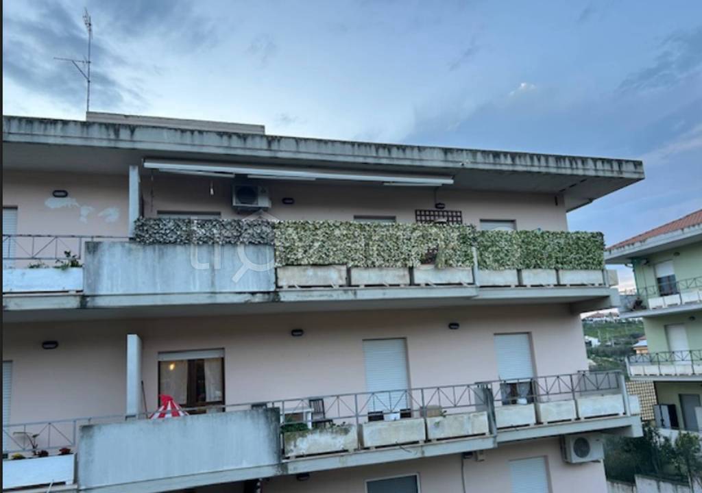 immagine annuncio 10 di 12