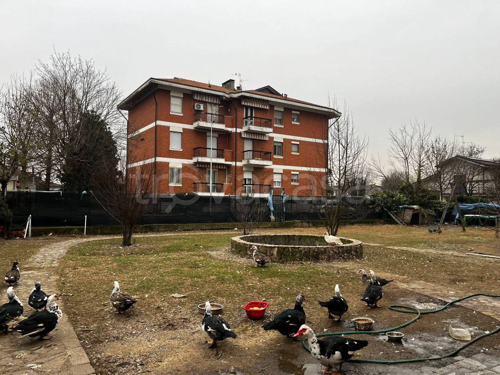 immagine annuncio 4 di 15